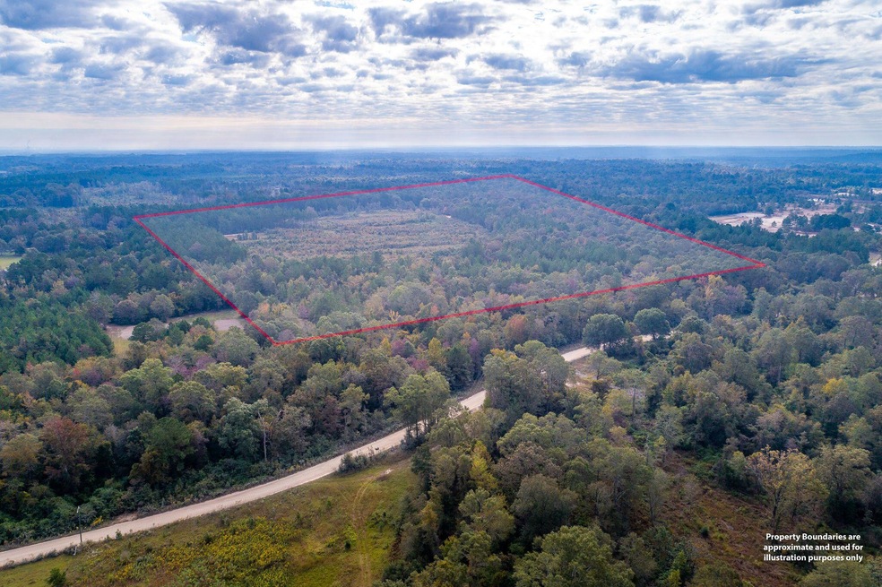 4 Drone View (1 of 6)