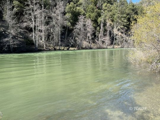 Trinity River!