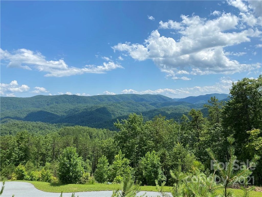 Lot 1320 Round Leaf Ln, Ferguson, NC 28624 - photo 1