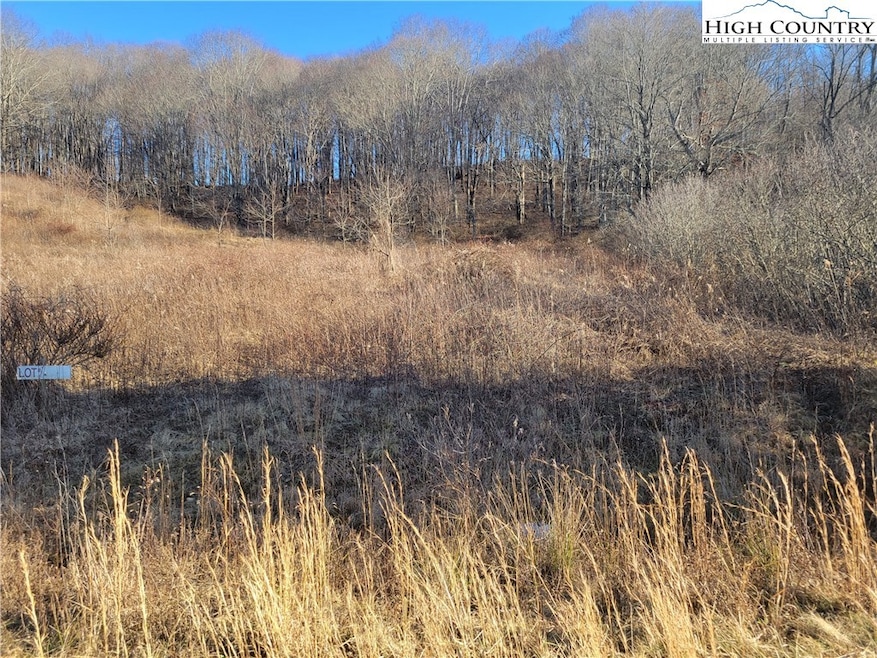 2 Terra Vista Dr, Laurel Springs, NC 28644 - photo 1