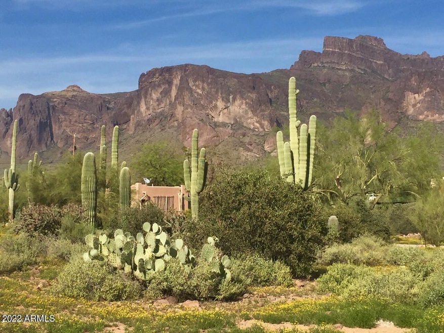 Seriously the greenest property around