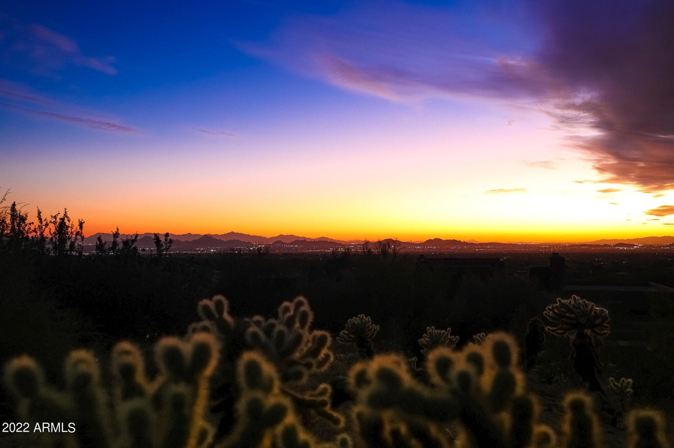 Desert Dreams