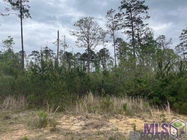TBD Lot B Teal McDaniel Rd, Pine Grove, LA 70453 - photo 1