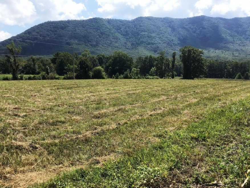 Lot 26 Cutshaw Ln, Greeneville, TN 37743 - photo 1