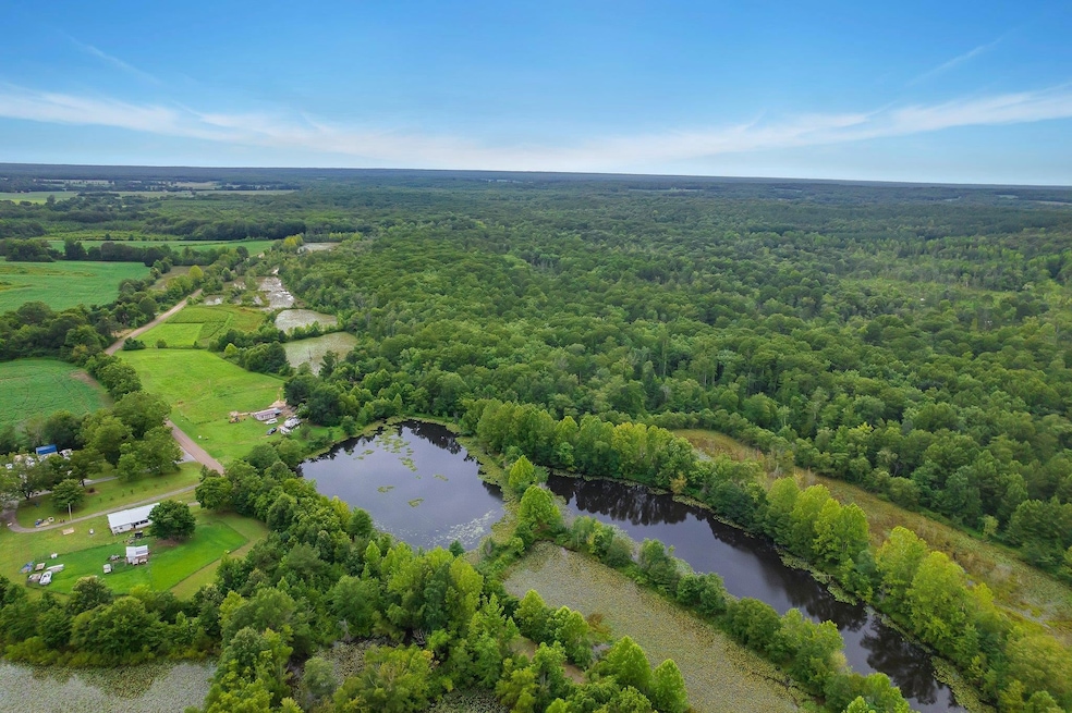 Birds eye view of property featuring a wooded view