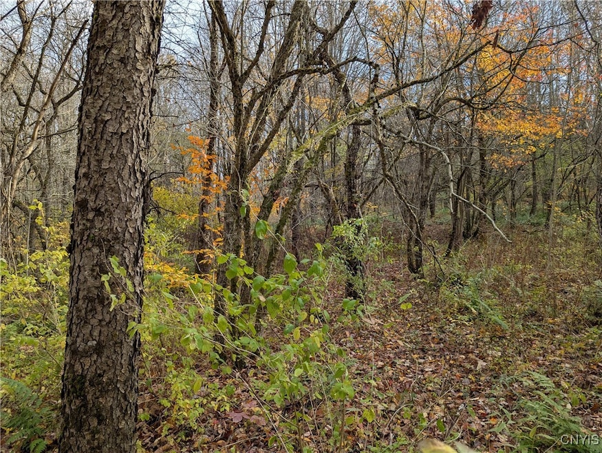 0 Ryan Rd, Williamstown, NY 13493 - photo 1