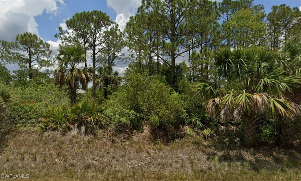 View of nature