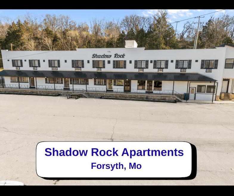 164 Forsyth-Taneyville Rd unit 11, Forsyth, MO 65653 - photo 1