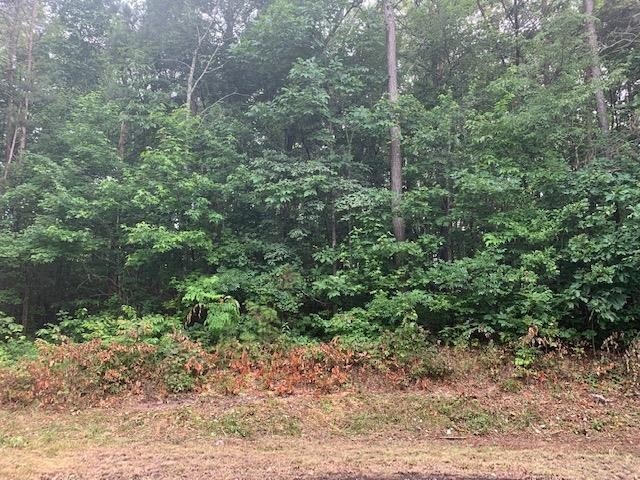 55 Crabtree Dr, Tunnel Hill, GA 30755 - photo 1