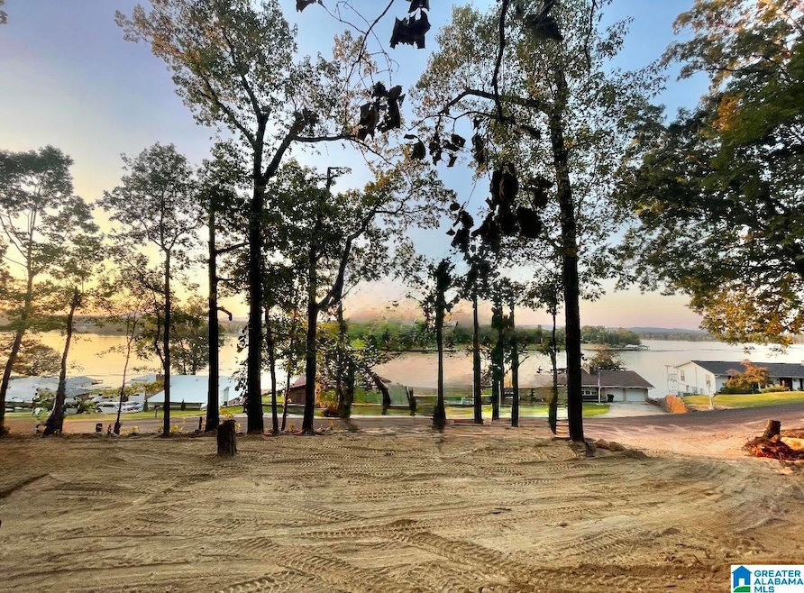 1169 Lakemont Dr N, Southside, AL 35907 - photo 1