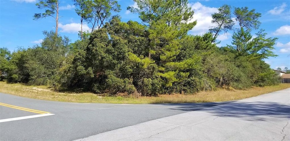 0 SW 18th Ave unit 4 OM630772, Ocala, FL 34473 - photo 1