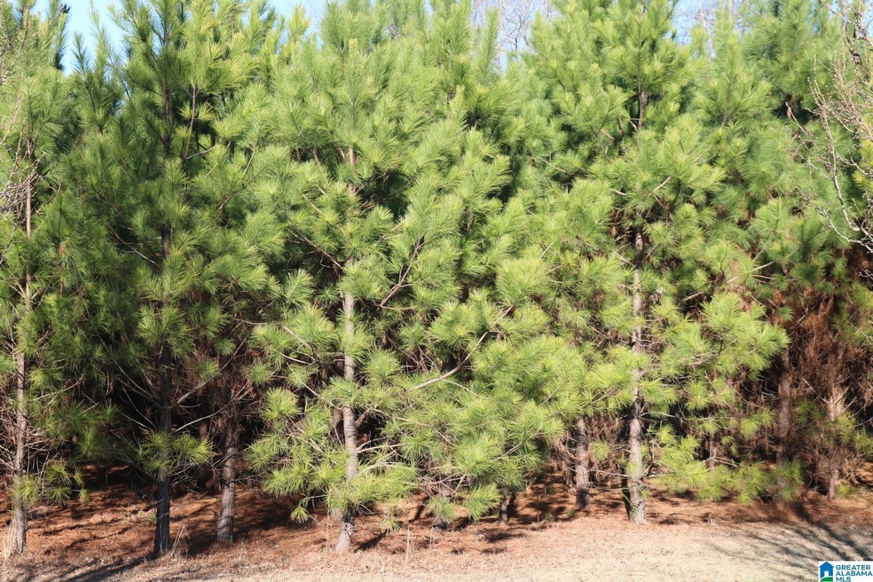 151 Grove Cir Unit 21  