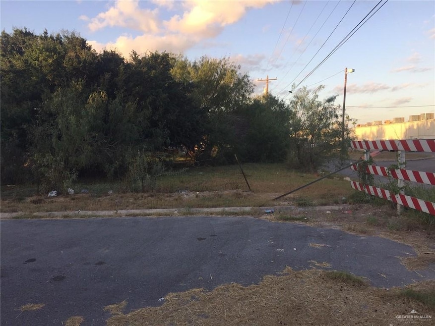935 E Marion Ave, Pharr, TX 78577 - photo 1