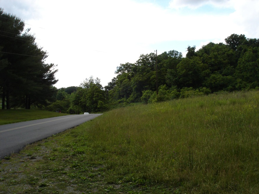 2015-06-03 13.54.03