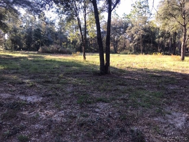 1879 E Ridgefield Dr, Hernando, FL 34442 - photo 1