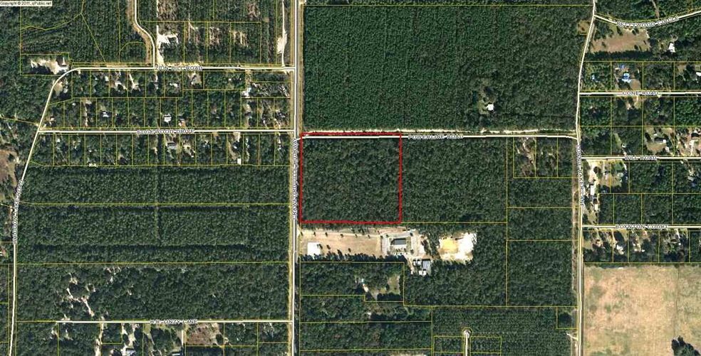 xx Crawfordville Hwy, Crawfordville, FL 32327 - photo 1