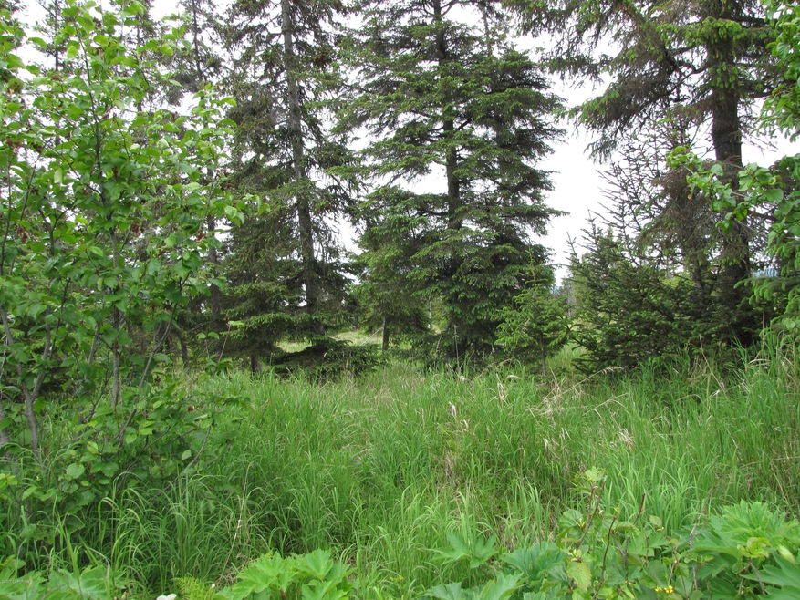 Lot 2B