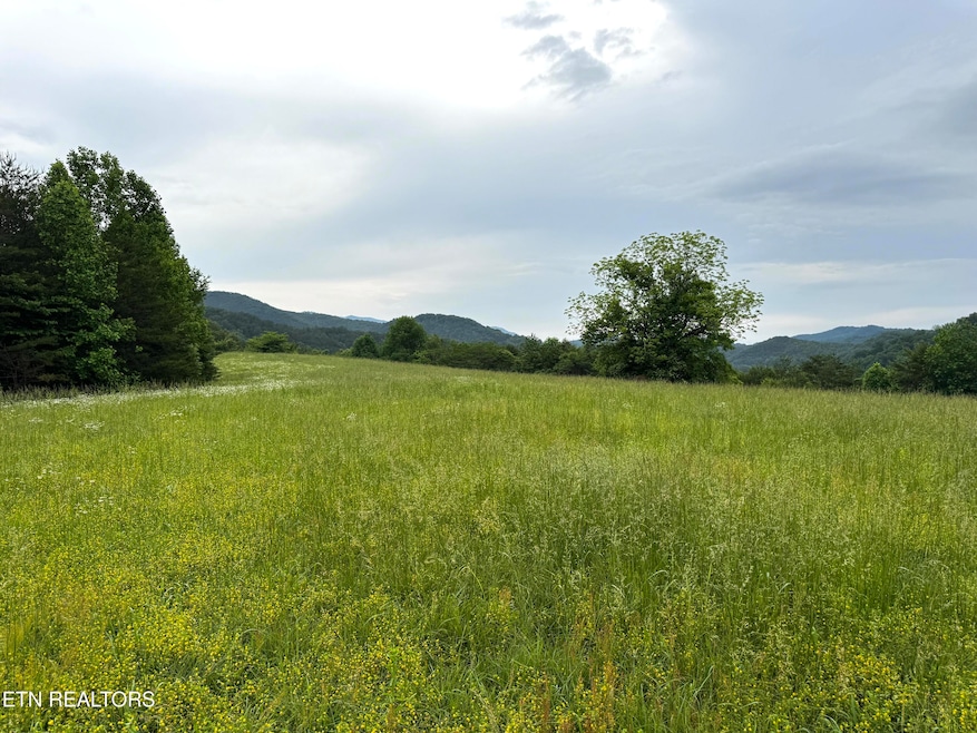 0 Licklog Hollow Rd, Sevierville, TN 37876 - photo 1