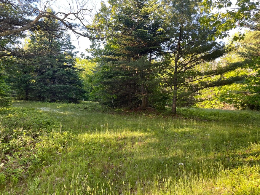 Front Ridge 1