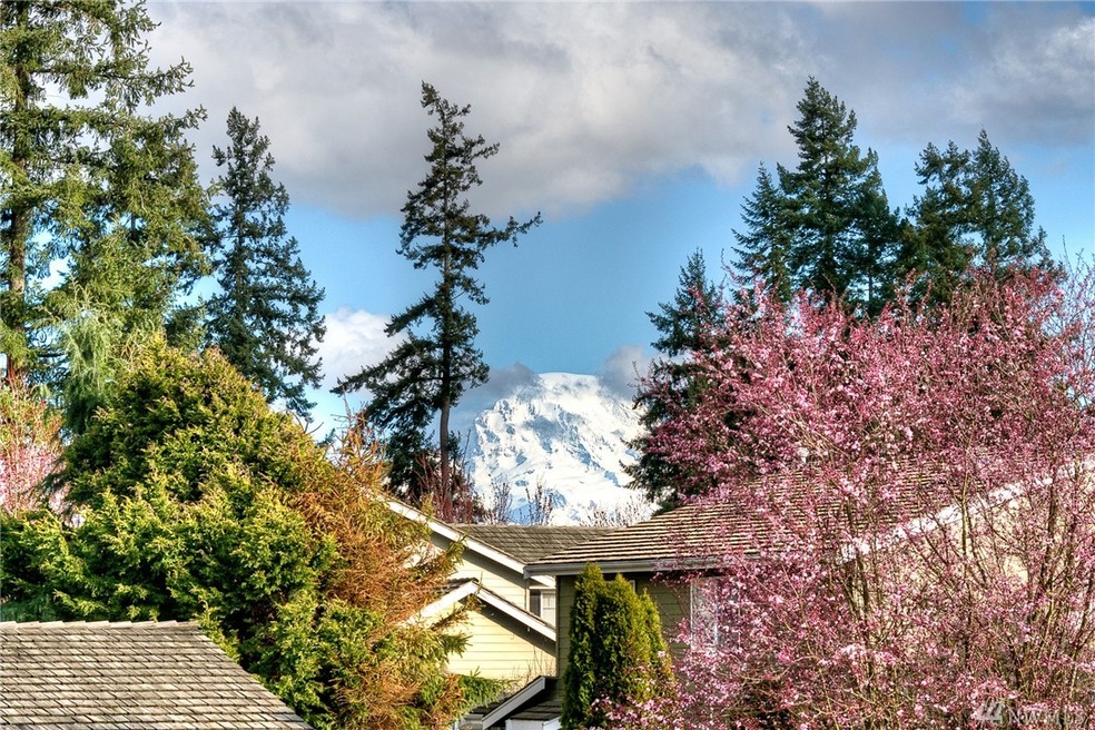 20118 74th Avenue Ct E, Spanaway, WA 98387 - photo 1