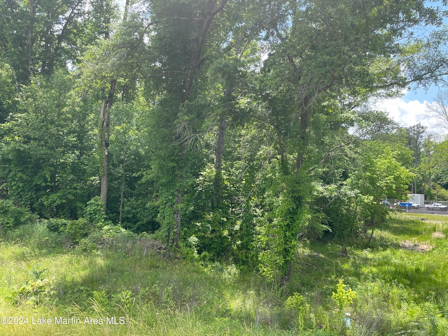 unlisted-address, Alexander City, AL 35010 - photo 1