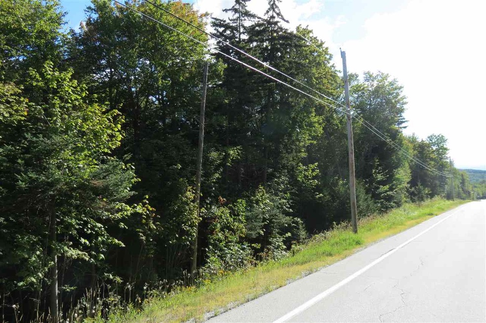 00 Route 100 S, Ludlow, VT 05149 - photo 1