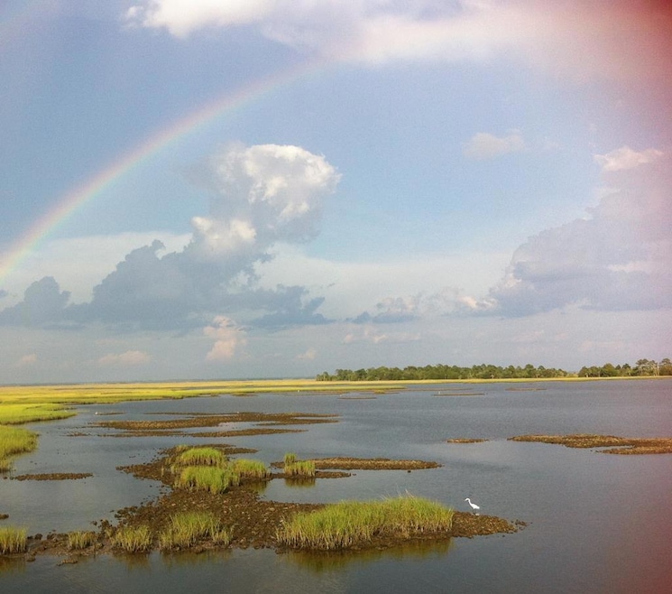 0 E 1 Ave, Horseshoe Beach, FL 32648 - photo 1