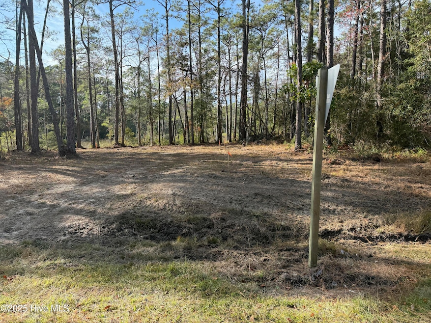 183 Straits Dr, Beaufort, NC 28516 - photo 1