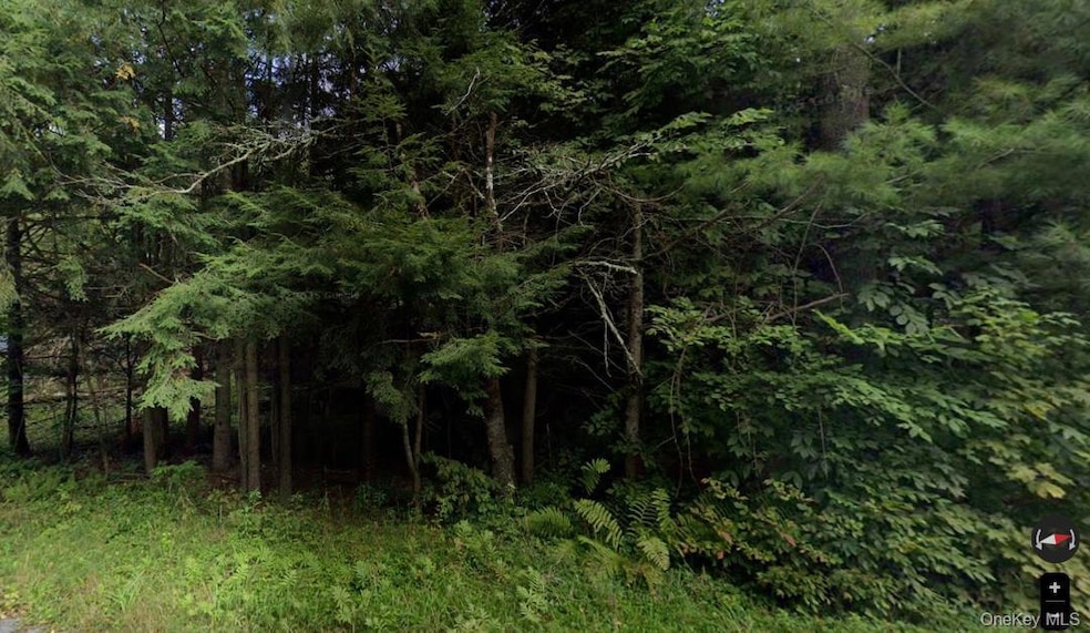 191 Elm Hollow Rd, Rockland, NY 12758 - photo 1