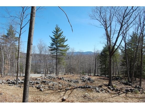 0 Hall Farm Rd, New London, NH 03257 - photo 1