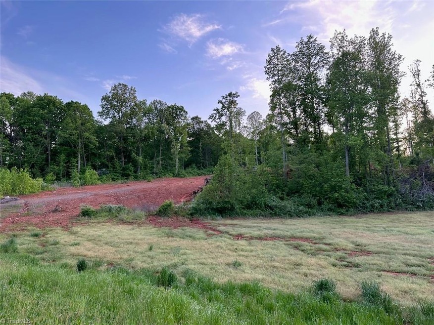 Tract 7 Gallimore Dairy Rd, Denton, NC 27239 - photo 1