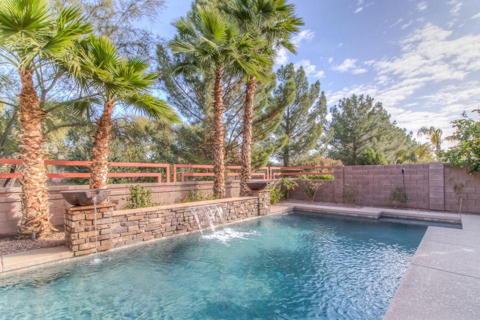 Backyard Pool