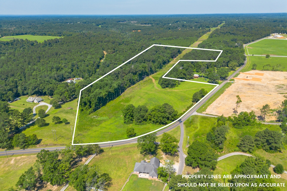 581 Moselle Seminary Road-3