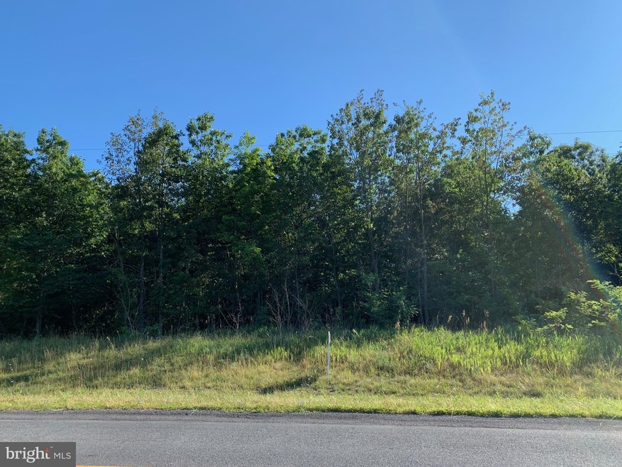 1096 Redland Rd, Cross Junction, VA 22625 - photo 1