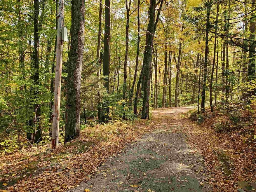 0 Miller Ln, Williamsville, VT 05362 - photo 1