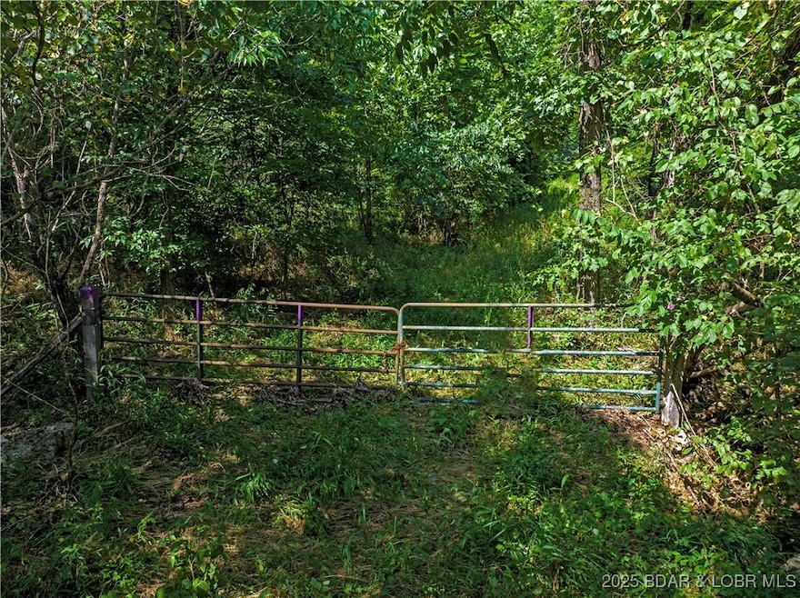 0 State Hwy E, Montreal, MO 65591 - photo 1