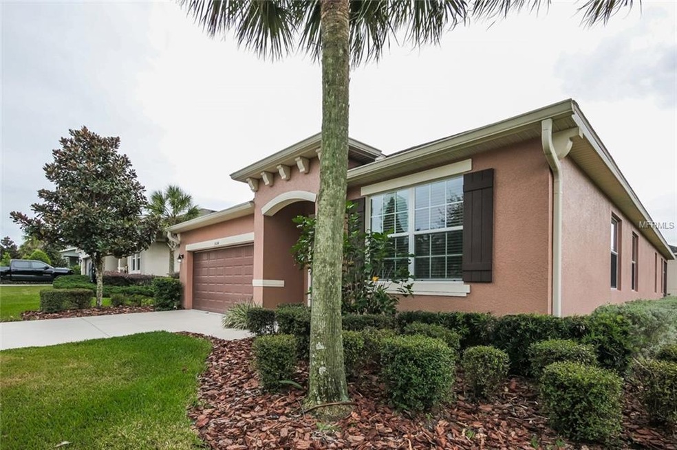 15634 Starling Water Dr, Lithia, FL 33547 - photo 1