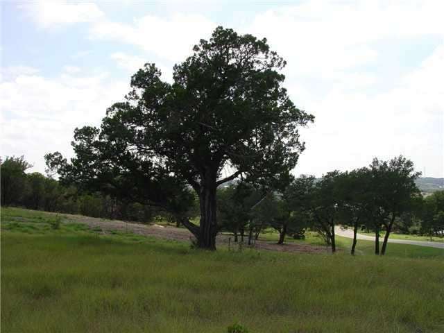 8117 Bellancia Dr, Austin, TX 78738 - photo 1