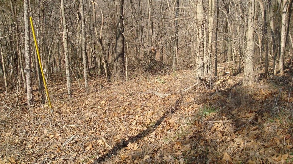 0 Julletta Cir unit 1075969, Bella Vista, AR 72715 - photo 1