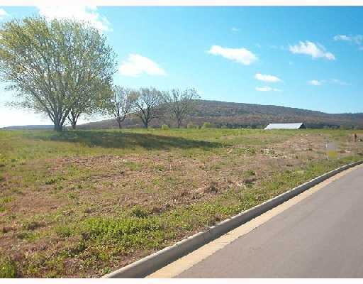 Lot 14 Chapel Ridge, Prairie Grove, AR 72753 - photo 1