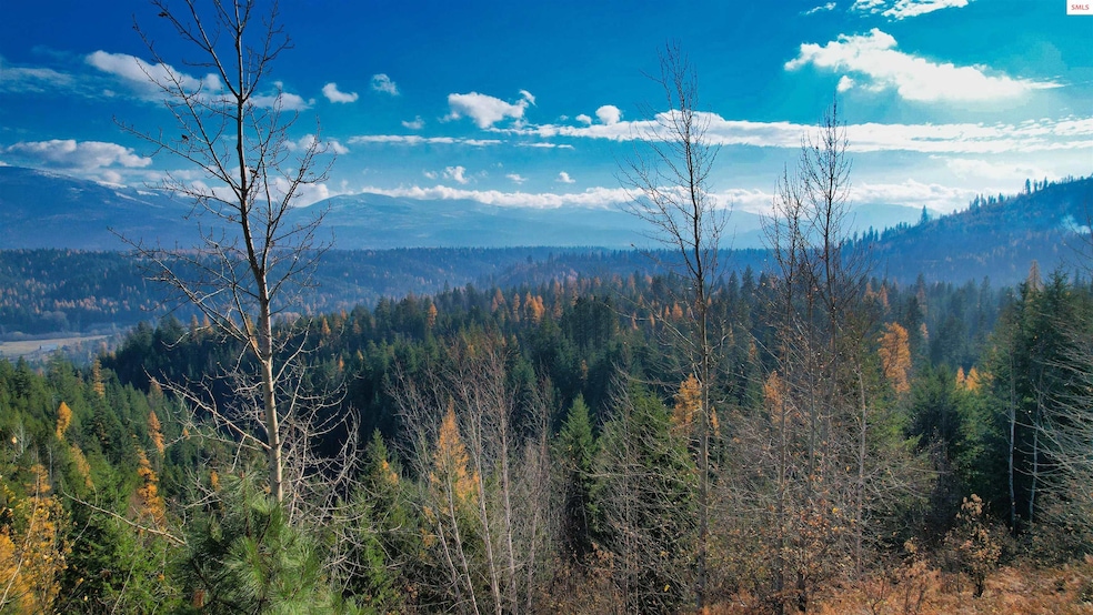 NNA Juniper Lane 20 Acres, Naples, ID 83847 - photo 1