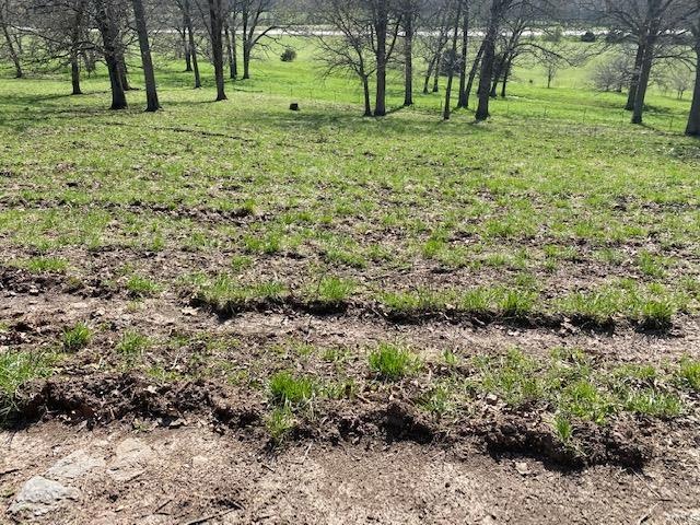 0 Highway 72 unit 22024150, Rolla, MO 65401 - photo 1