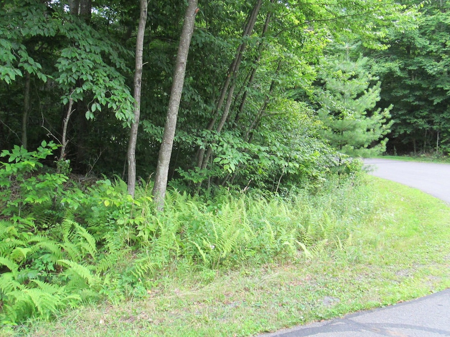 0 River Ct unit PM-62467, Pocono Lake, PA 18347 - photo 1