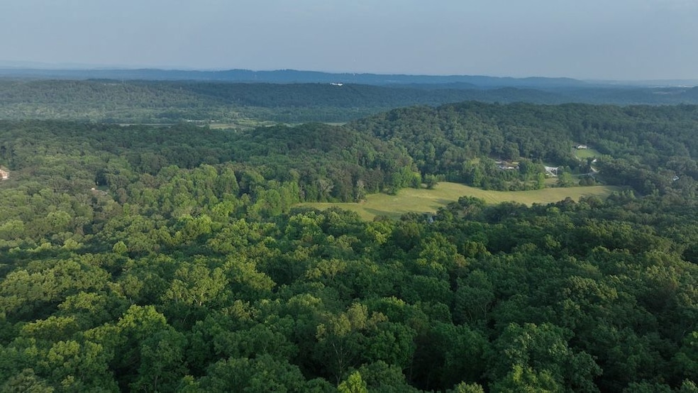 Rocky Ledge Dr unit LotWP001, Hixson, TN 37343 - photo 1