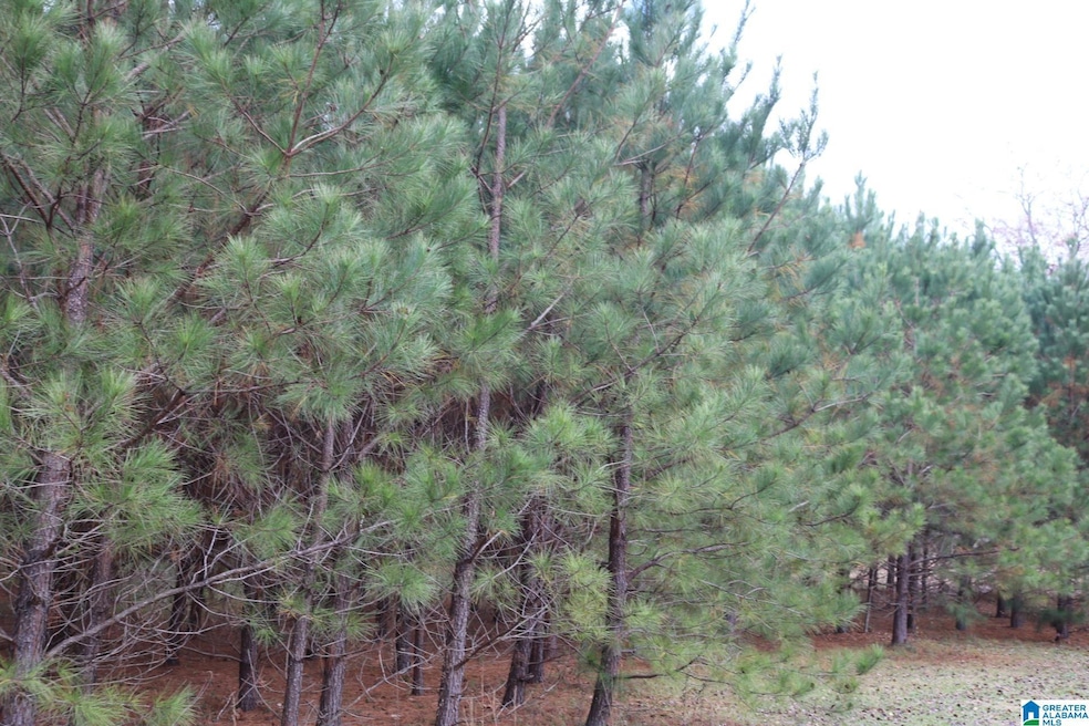 3170 Crest Oval Mtn Rd unit 27 & 28, Bessemer, AL 35023 - photo 1