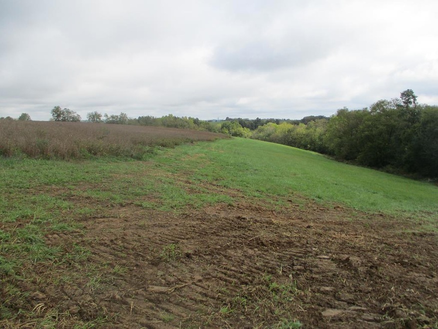 4097 Hilltop Rd, Ewing, KY 41039 - photo 1