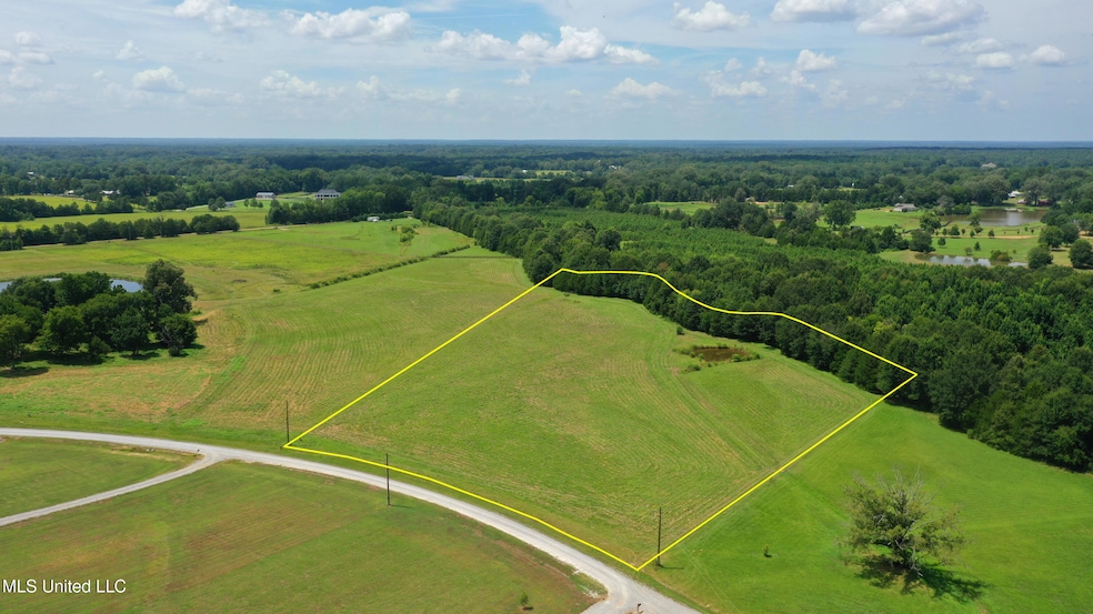 0 Russell Rd, Flora, MS 39071 - photo 1
