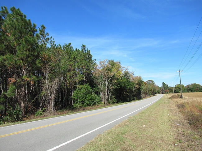 Wire Road 4 Acres