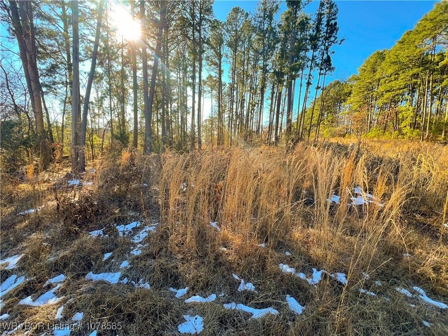 10330 High Rock Rd, Rudy, AR 72952 - photo 1