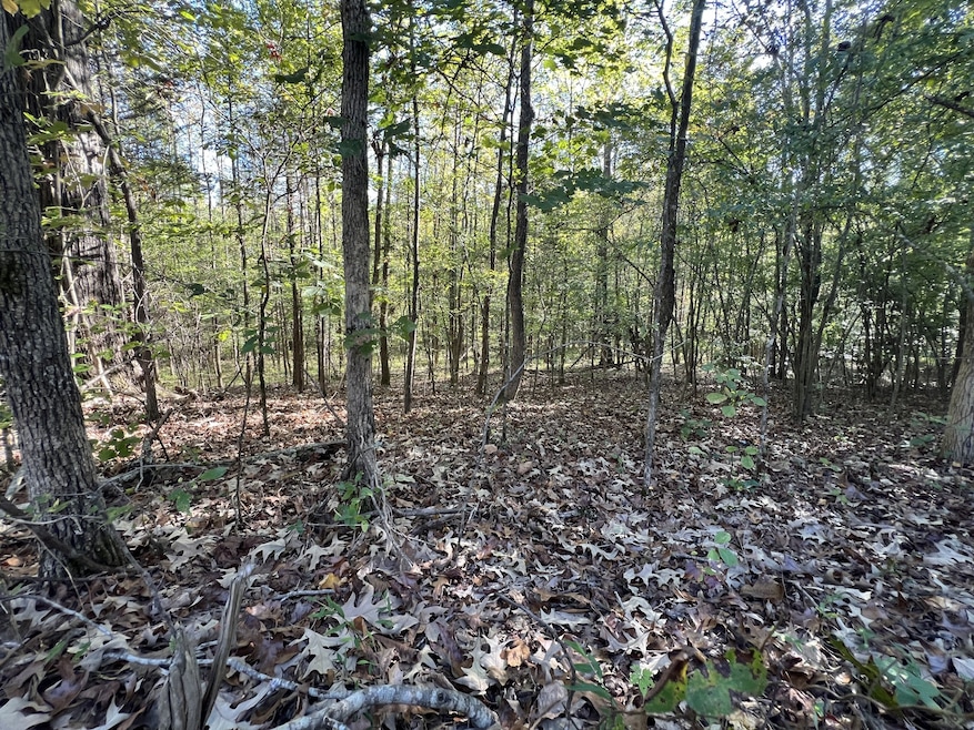 0 Tobaccoport Rd, Bumpus Mills, TN 37028 - photo 1